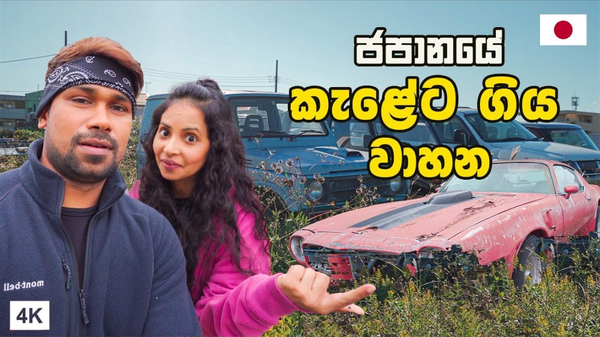 ජපානයේ කැළේට ගිය Super Car  | JUNK VEHICLE HUNTING | Hithumathe JAPAN |4K