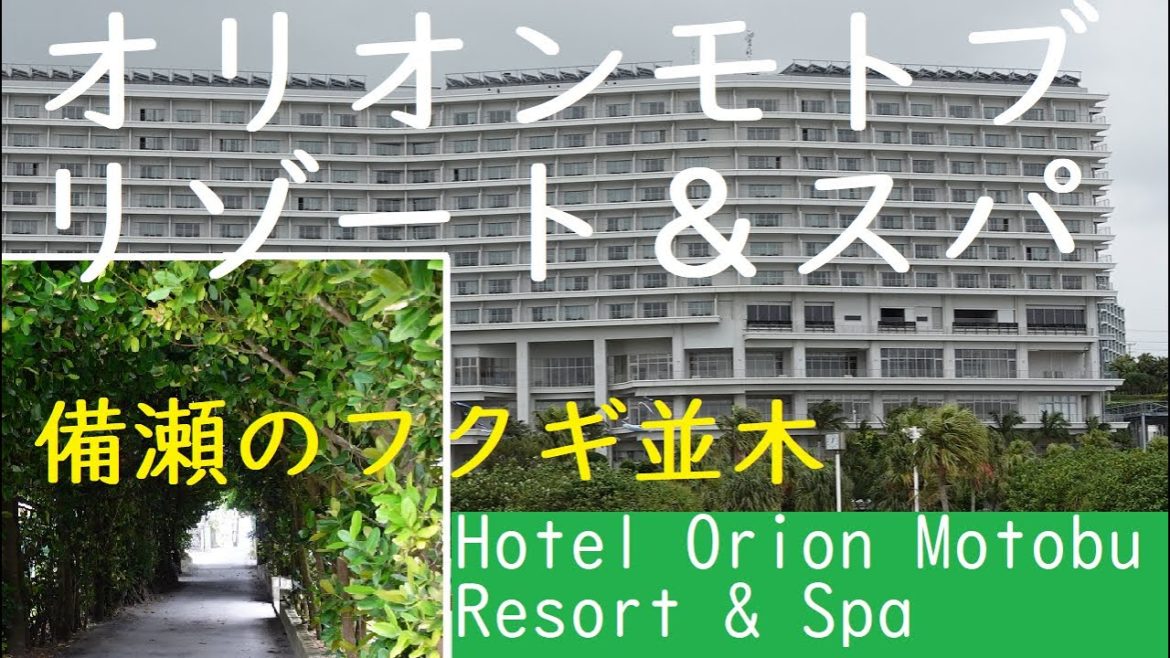 SUB【オリオンモトブリゾート&スパ】楽天で4.7点の高評価/備瀬のフクギ並木/Hotel Orion Motobu Resort & Spa, OKINAWA/Fukugi Trees【沖縄旅#2】 SUB【オリオンモトブリゾート&スパ】楽天で4.7点の高評価/備瀬のフクギ並木/Hotel Orion Motobu Resort & Spa, OKINAWA/Fukugi Trees【沖縄旅#2】