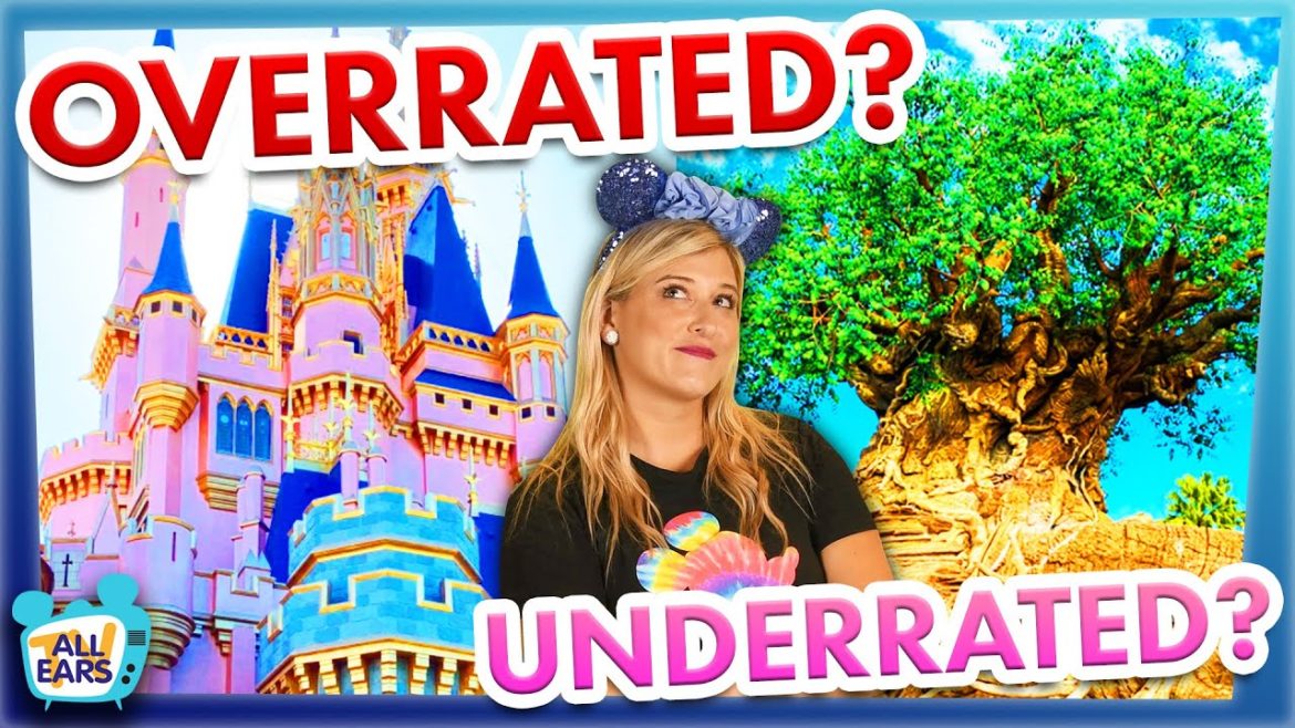 The Most UNDERRATED Part of Disney World's Animal Kingdom