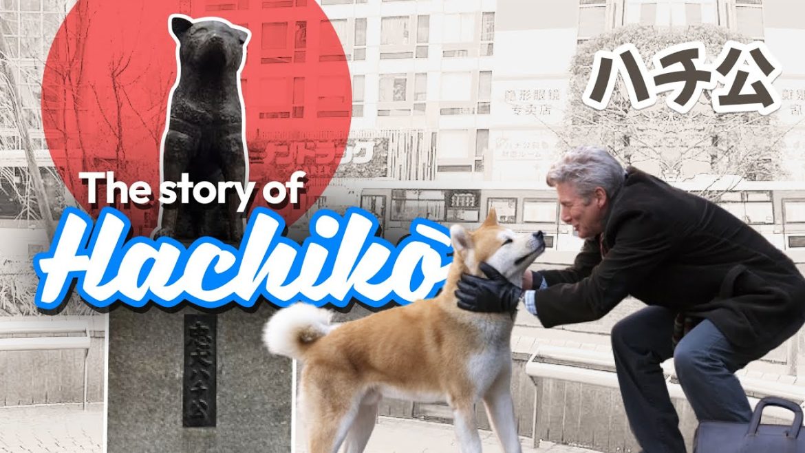 Hachikō | The DOG that CAPTURED Japans HEART! | ハチ公