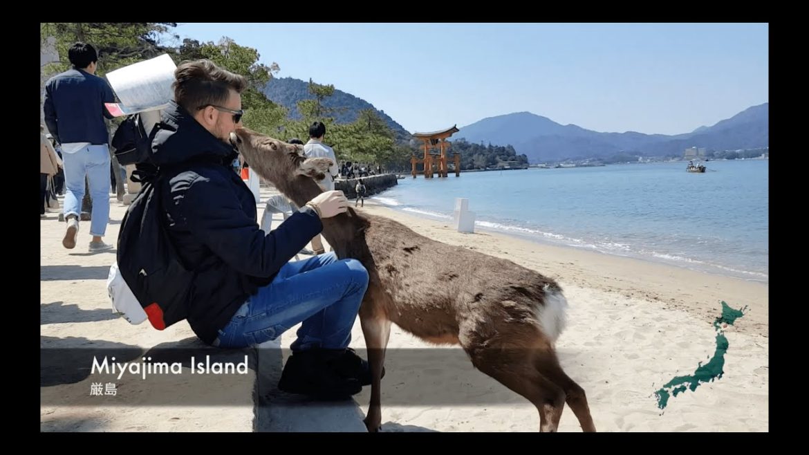 Travelling Across Japan ✈️  - Hi I'm Alex