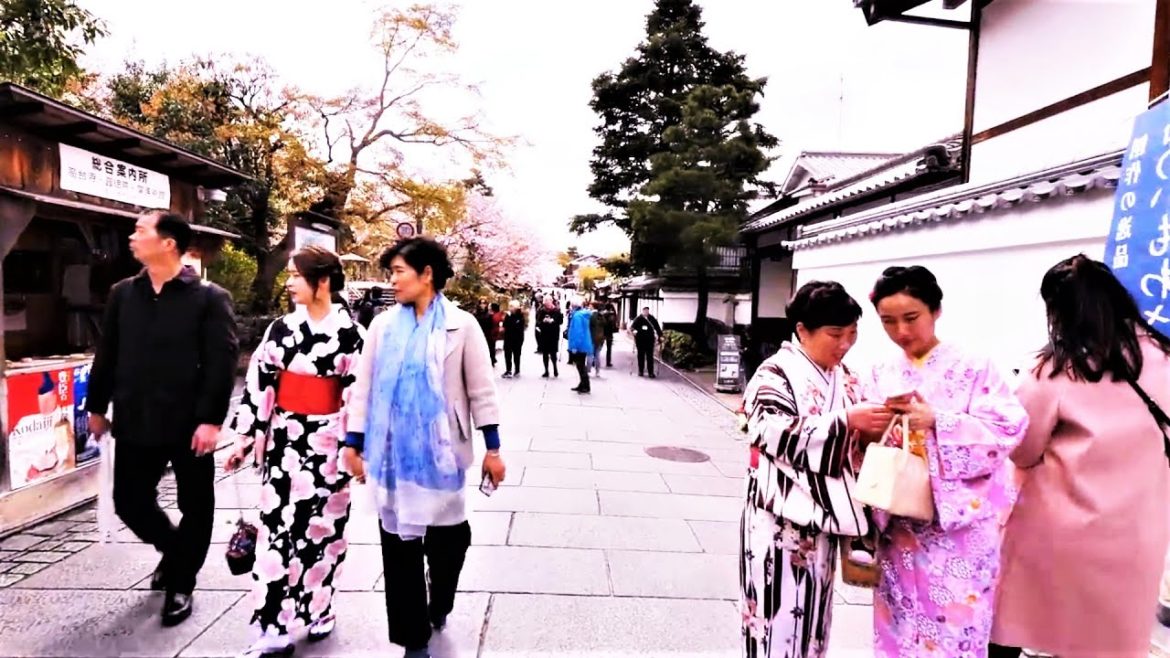 Kyoto Walk ||  Let's Explore Kyoto in 1 Minute || Part 7 ||  #shorts