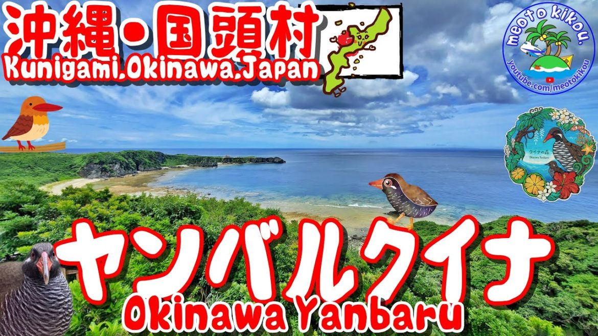 【仲良し夫婦旅】 ヤンバルクイナに会いに行く🦃沖縄国頭村🌺ヤンバルクイナ展望台とクイナの森！《 旅行日：2022年6月下旬旅 》