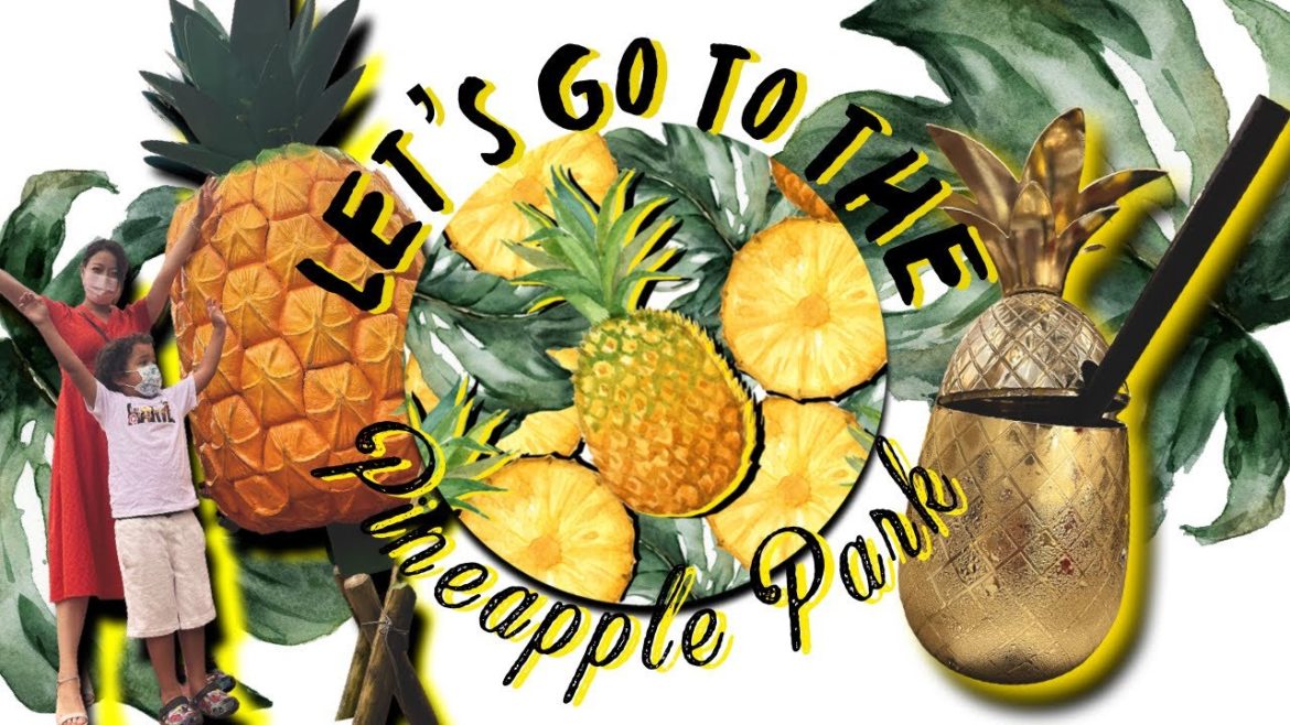 Learn about Pineapples, Plants, and Okinawa History at the Pineapple Park