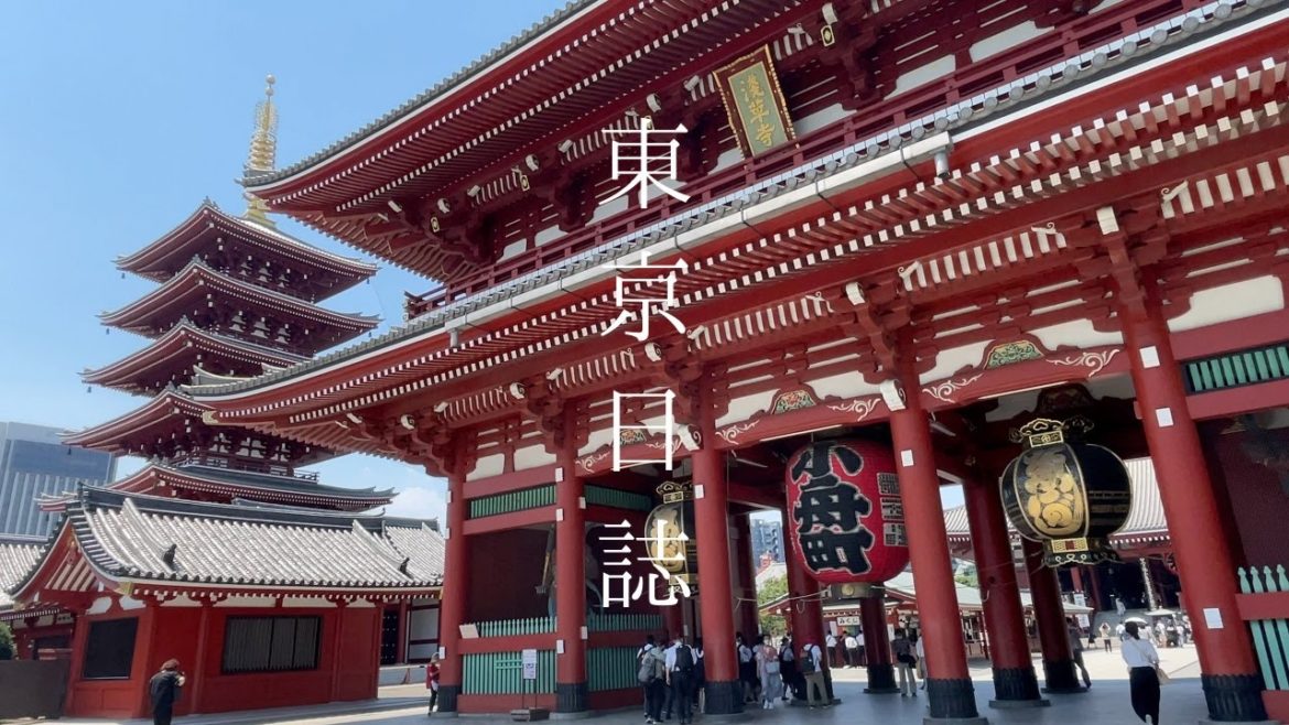 東京🗼散歩 浅草/日暮里/上野/新宿/原宿/渋谷/丸の内/銀座散策 Exploring Tokyo, Japan 2022 東京🗼散歩 浅草/日暮里/上野/新宿/原宿/渋谷/丸の内/銀座散策 Exploring Tokyo, Japan 2022