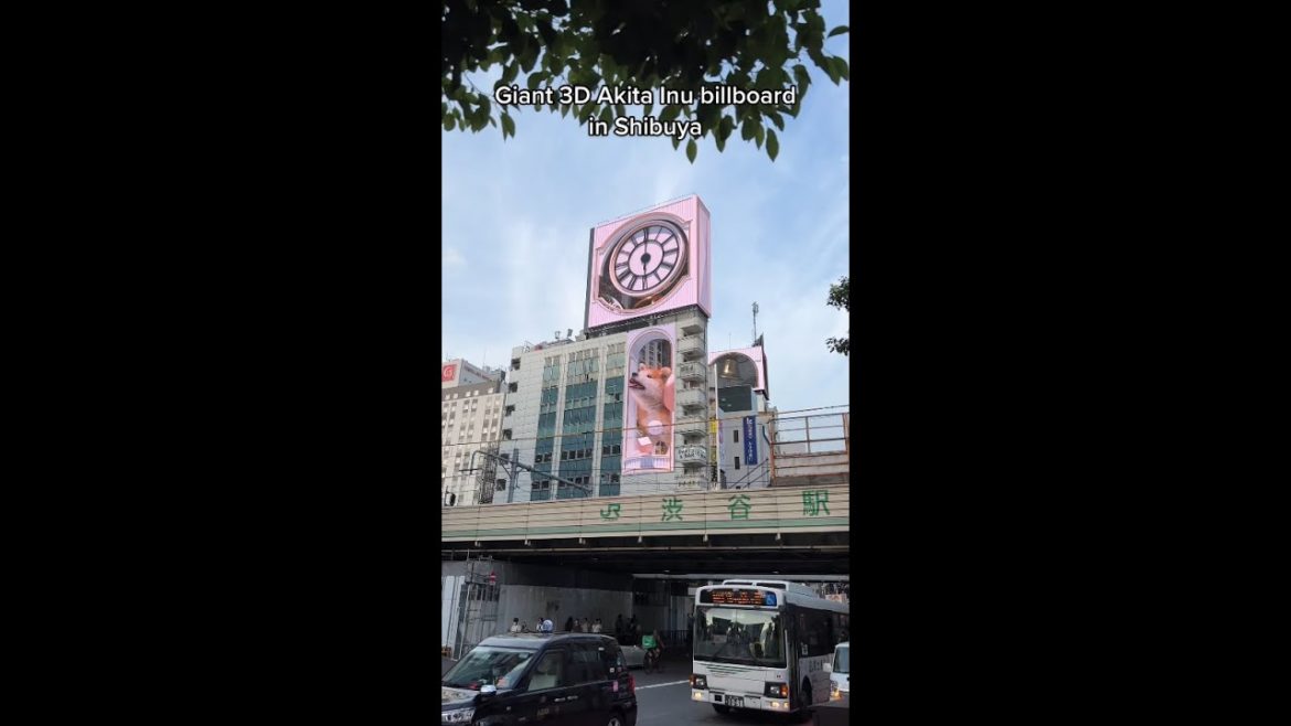 Unreal 3D Billboard In Tokyo 😍 #japan