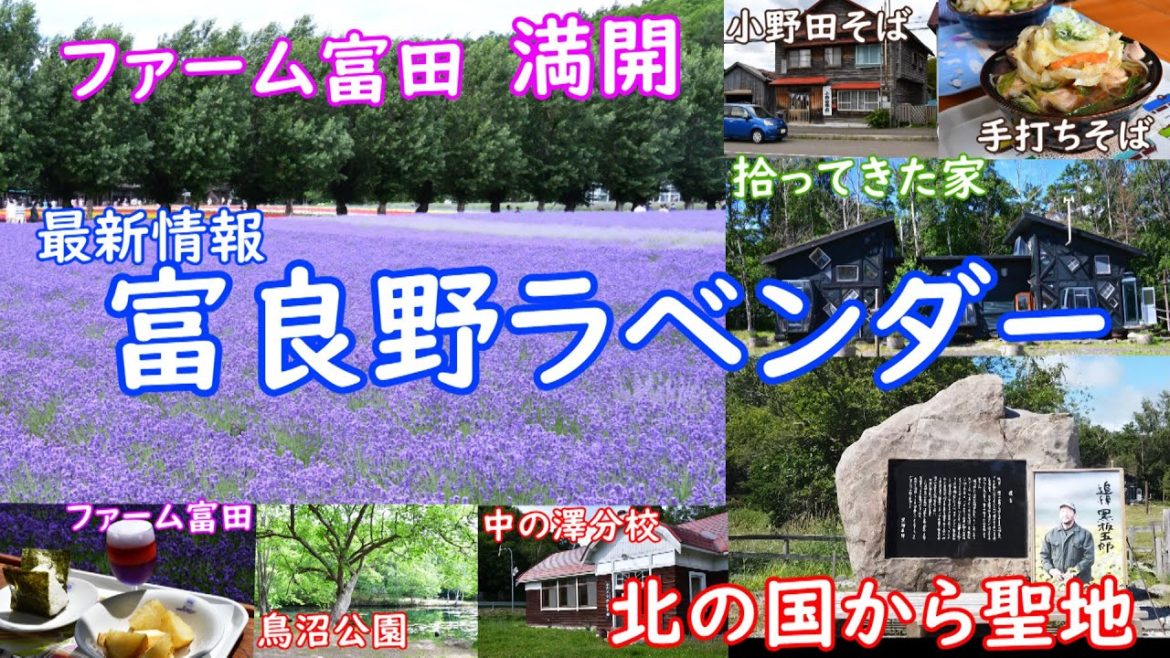 富良野、富田ファームラベンダーと北の国からのロケ地巡り麓郷エリアの拾って来た家と小野田そば、またルートには、中の澤分校・鳥沼公園がありラベンダーイーストもあります 富良野、富田ファームラベンダーと北の国からのロケ地巡り麓郷エリアの拾って来た家と小野田そば、またルートには、中の澤分校・鳥沼公園がありラベンダーイーストもあります