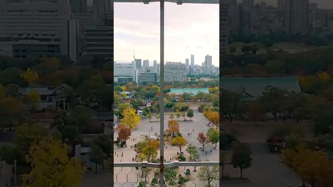 Osaka castle | #japanvlogs #teluguvlogs #shorts