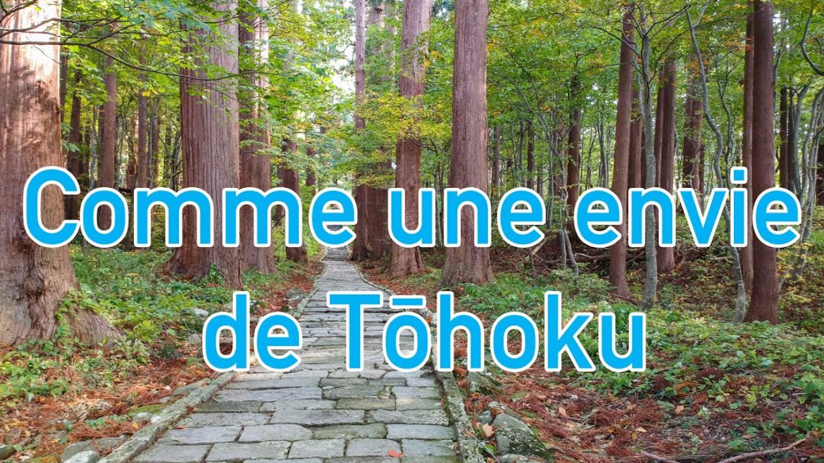 Découverte du Japon : Comme une envie de Tohoku Découverte du Japon : Comme une envie de Tohoku