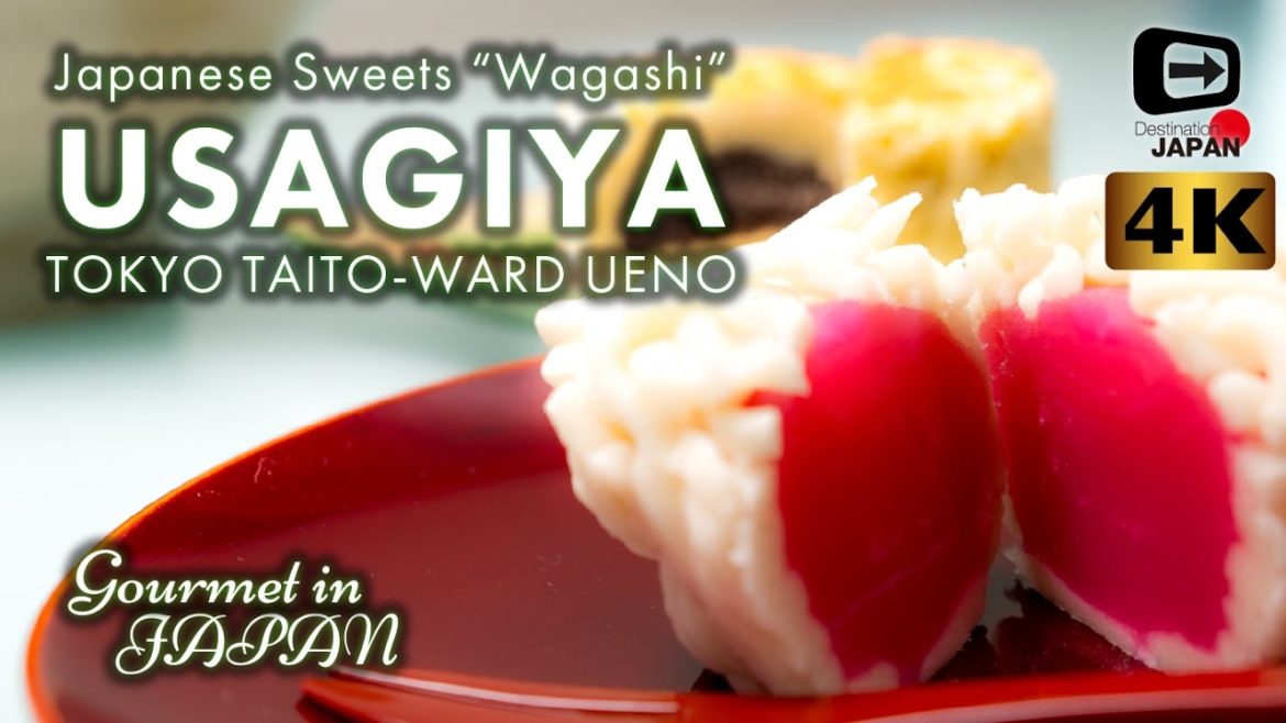 4K Gourmet in Japan | Usagiya Tokyo Ueono | Japanese Sweets "Wagashi" | うさぎや・上野 A6500 Sigma18-35 4K Gourmet in Japan | Usagiya Tokyo Ueono | Japanese Sweets "Wagashi" | うさぎや・上野 A6500 Sigma18-35