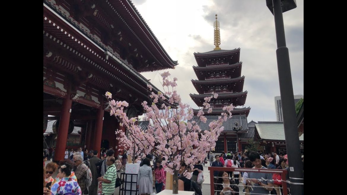 Sensō Ji Buddhist Temple in Tokyo Japan 4k