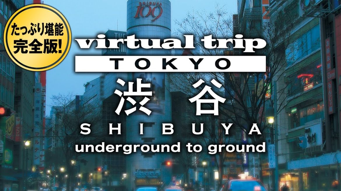 渋谷川  暗渠 日本を代表する繁華街の地下探索  / Tokyo in JAPAN 2008【BGV】【作業用】