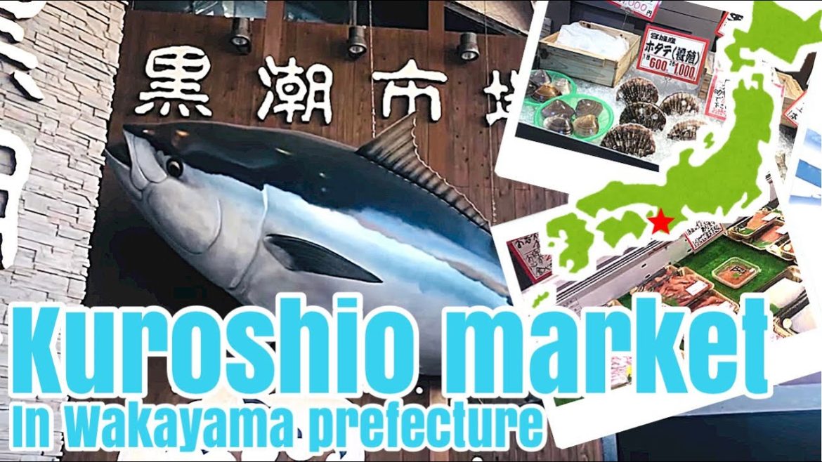 Kuroshio Market in Wakayama prefecture