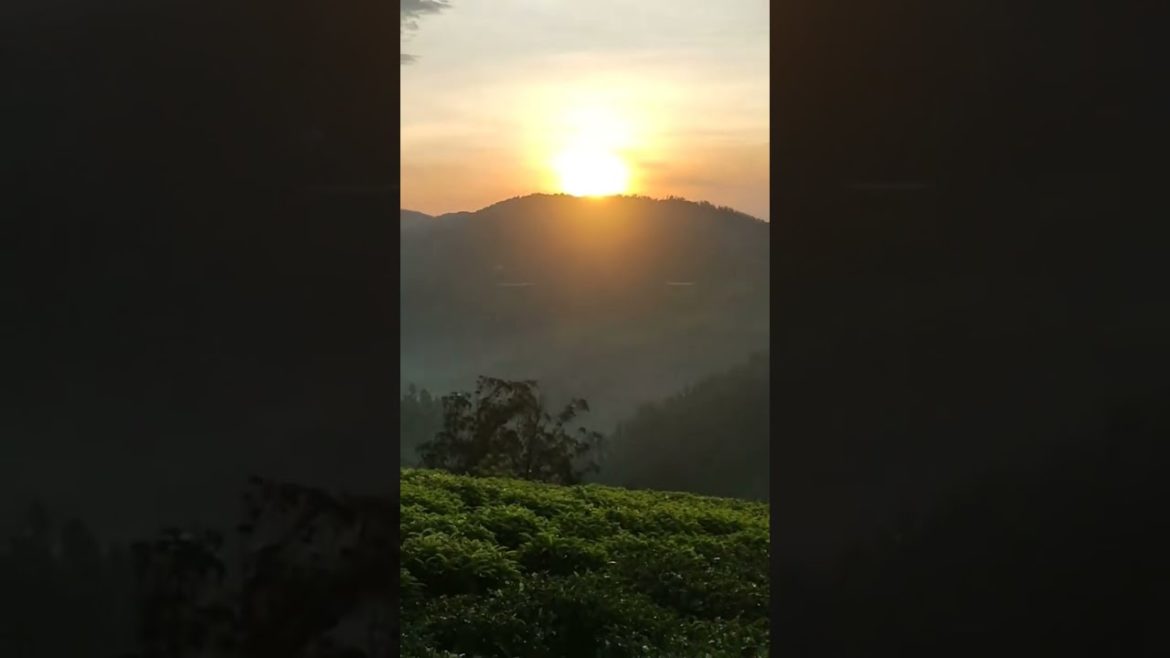 Ooty Best View|#sunrise |#ooty |#travel |#hills |#shorts