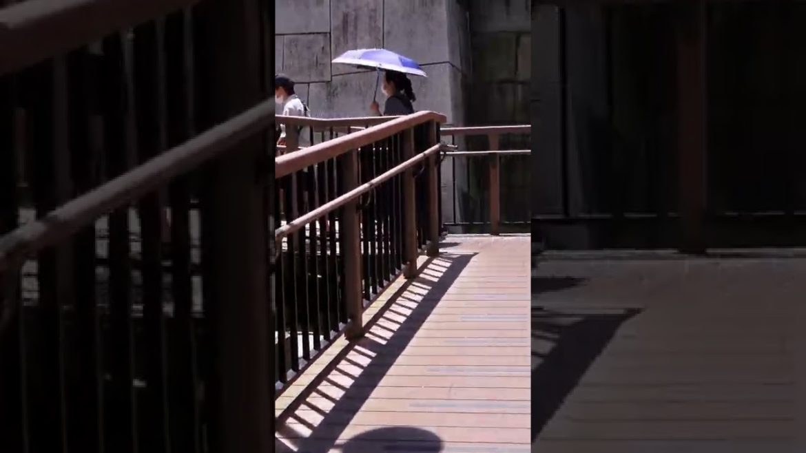 midsummer japan travel: sightseeing in osaka – the one thing you shouldn't miss #shorts midsummer japan travel: sightseeing in osaka - the one thing you shouldn't miss #shorts