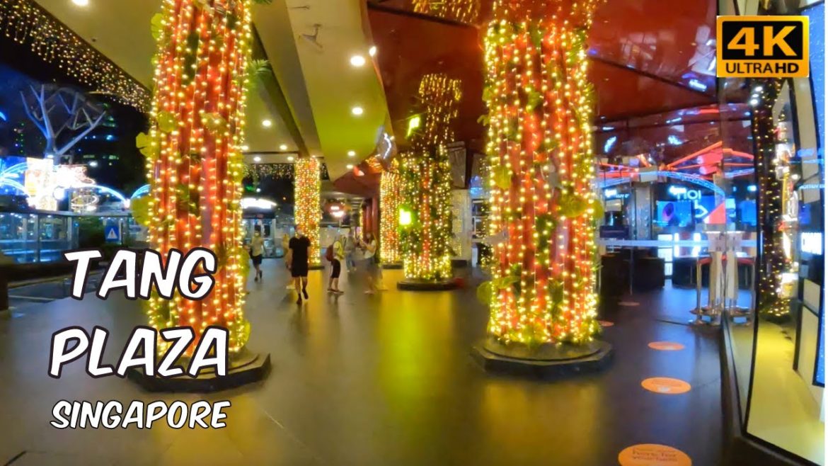 Tang Plaza with Christmas Decor | Singapore Shopping Mall Tour | Nov 2021 [4K]