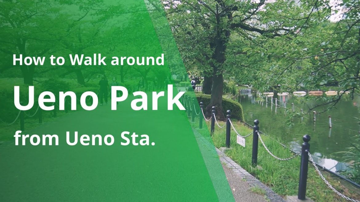 How to Waik around Ueno Park from Ueno Station (Tokyo Travel Guide)
