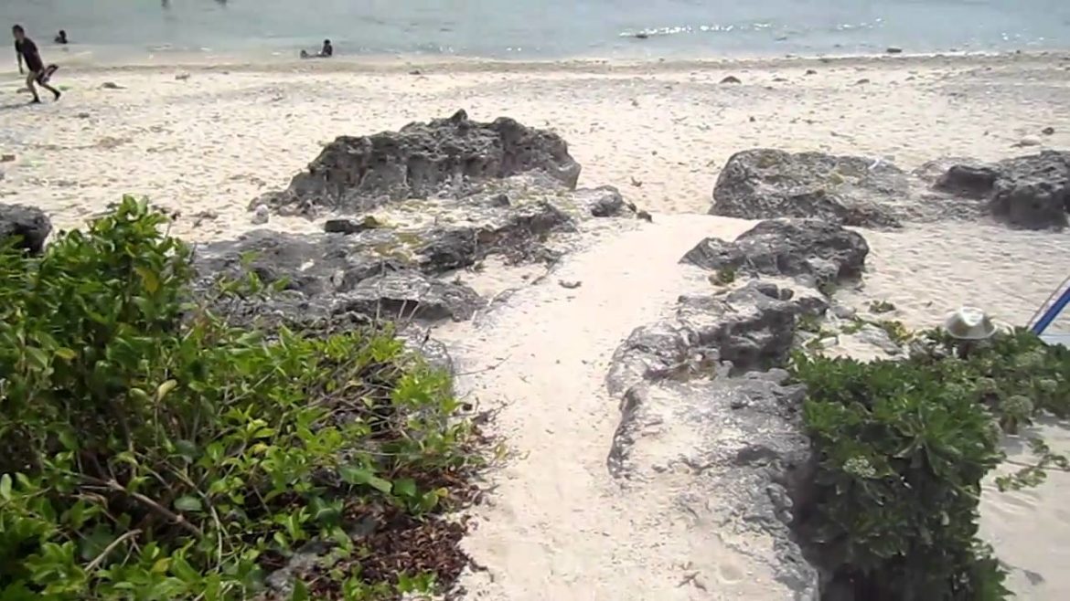 Ishigaki, Okinawa 2010