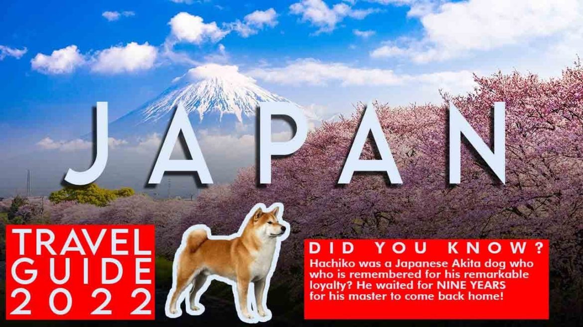 HOW TO SPEND YOUR SEPTEMBER TO OCTOBER 2022  in JAPAN!  TOP 3 DESTINATIONS TO VISIST - 日本