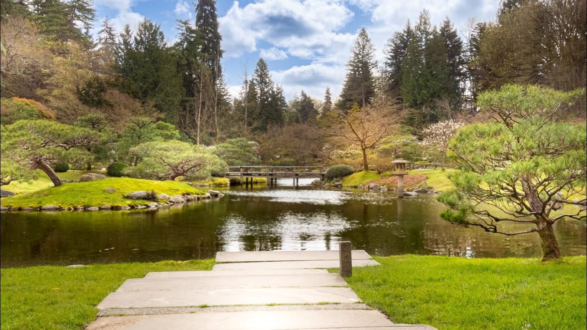 Walking Tour of Seattle Japanese Garden 🌷 | Washington Park Arboretum | Seattle Walk 🚶