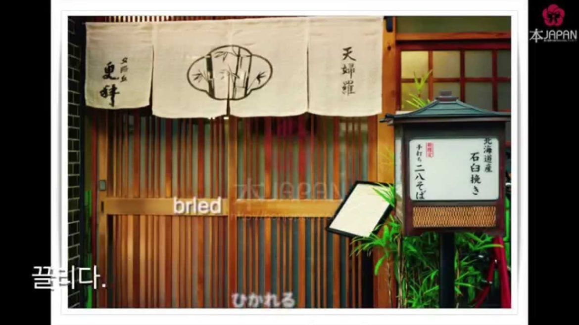 本JAPAN Osaka travel, lover&大阪旅行, 大阪の風景&오사카 여행 풍경 사진 영상 감성편Vol.1