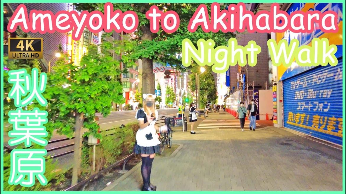 Akihabara walking tour : Okachimachi , Ameyoko to Akihabara in the evening 4K Akihabara walking tour : Okachimachi , Ameyoko to Akihabara in the evening 4K