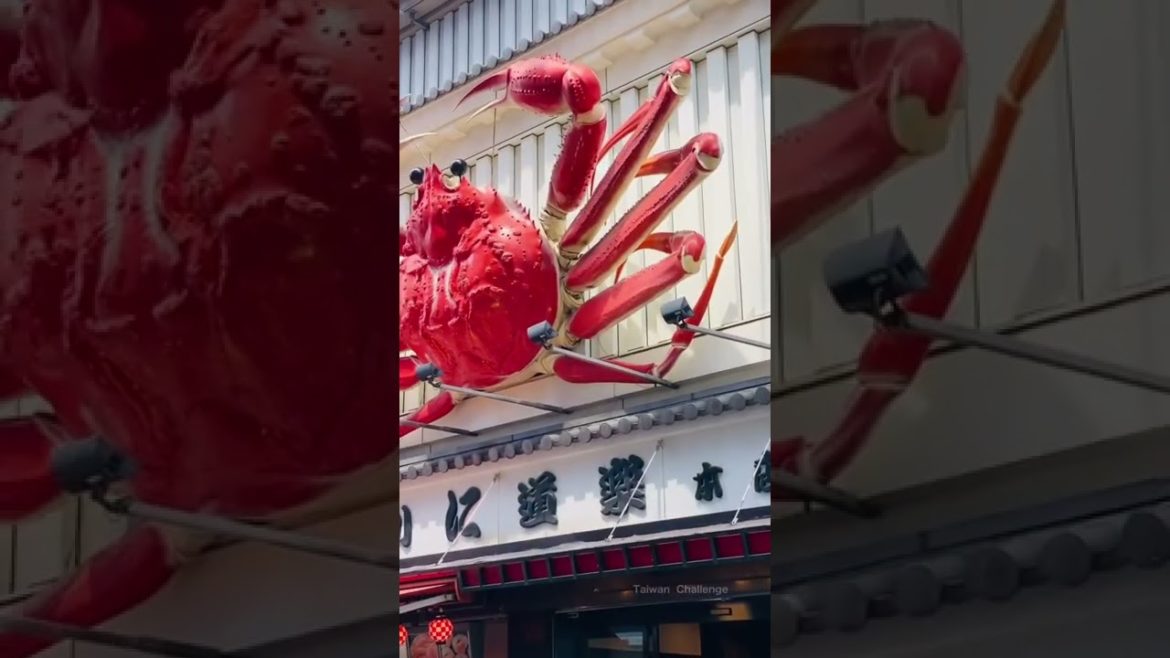 2022年夏の大阪観光#shorts