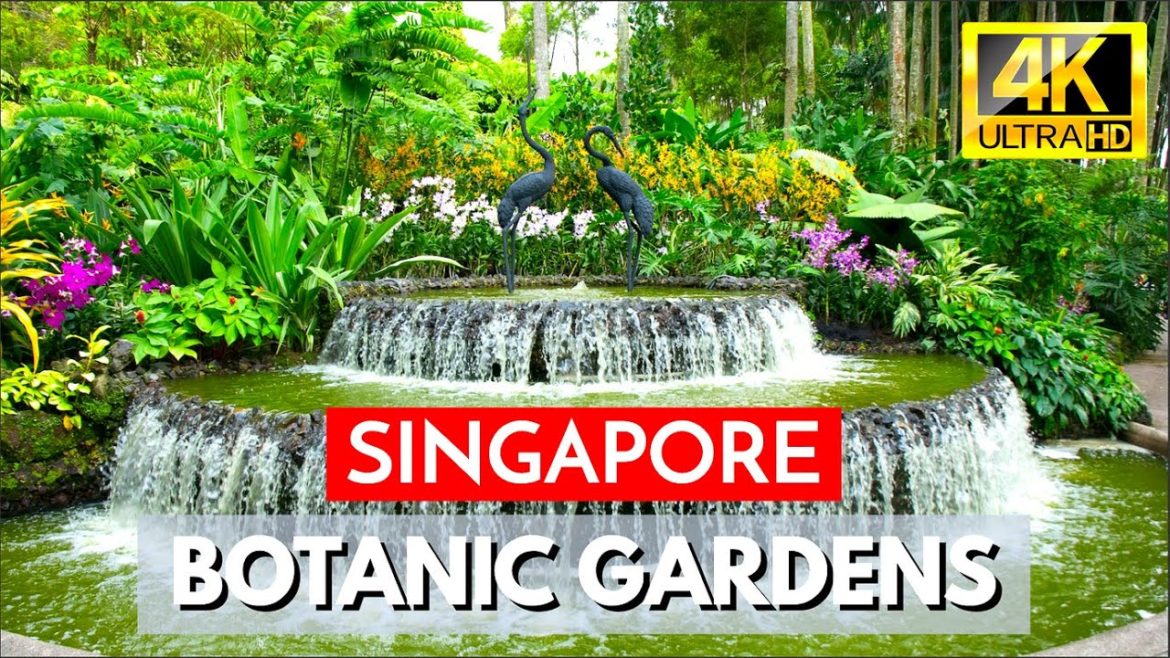 DIY Walking Tour of Singapore's First-Ever UNESCO World Heritage Site [4K UHD]