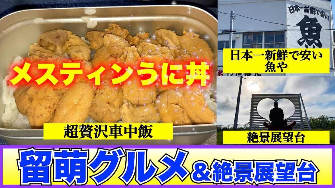 【岸畑魚店&千望台】未だかつてこんなメスティン飯があったでしょうか? 日本一新鮮で安い魚屋で買ったコスパ抜群の留萌産『うに』で作る車中飯 超贅沢うに丼 留萌の街を一望できる『千望台』へ 【岸畑魚店&千望台】未だかつてこんなメスティン飯があったでしょうか? 日本一新鮮で安い魚屋で買ったコスパ抜群の留萌産『うに』で作る車中飯 超贅沢うに丼 留萌の街を一望できる『千望台』へ