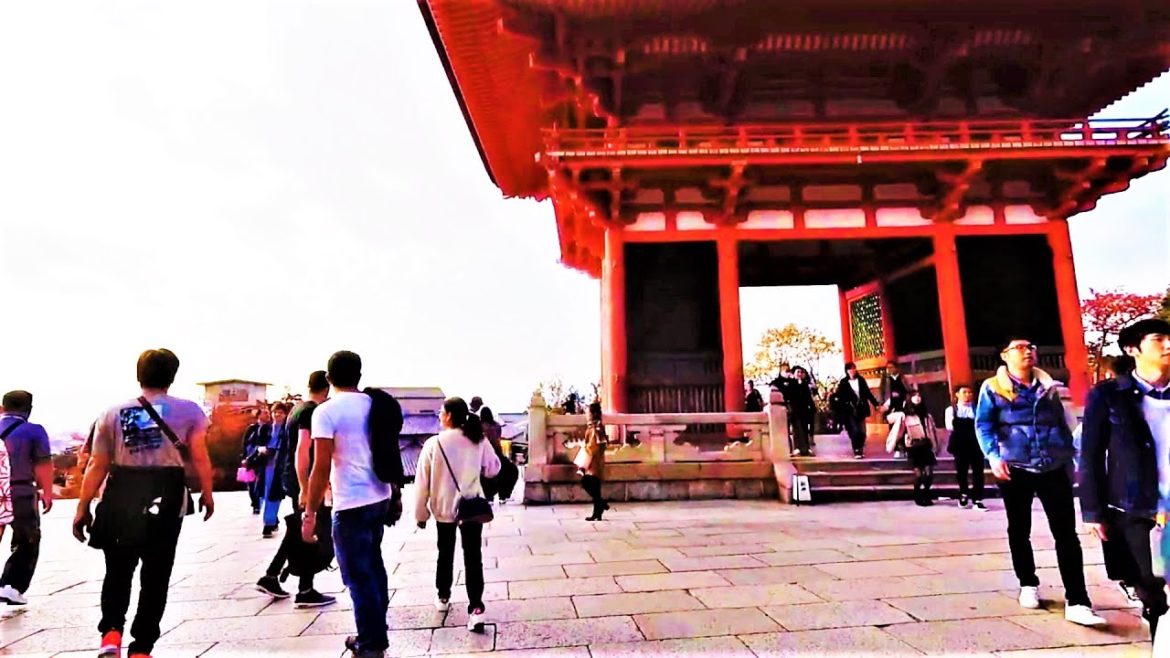 Kyoto Walk ||  Let's Explore Kyoto in 1 Minute || Part 8 ||  #shorts