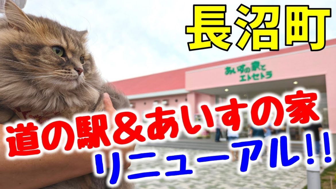 リニューアルオープン！長沼町のあいすの家で絶品ジェラートと道の駅でグルメ三昧♪【北海道ドライブ】