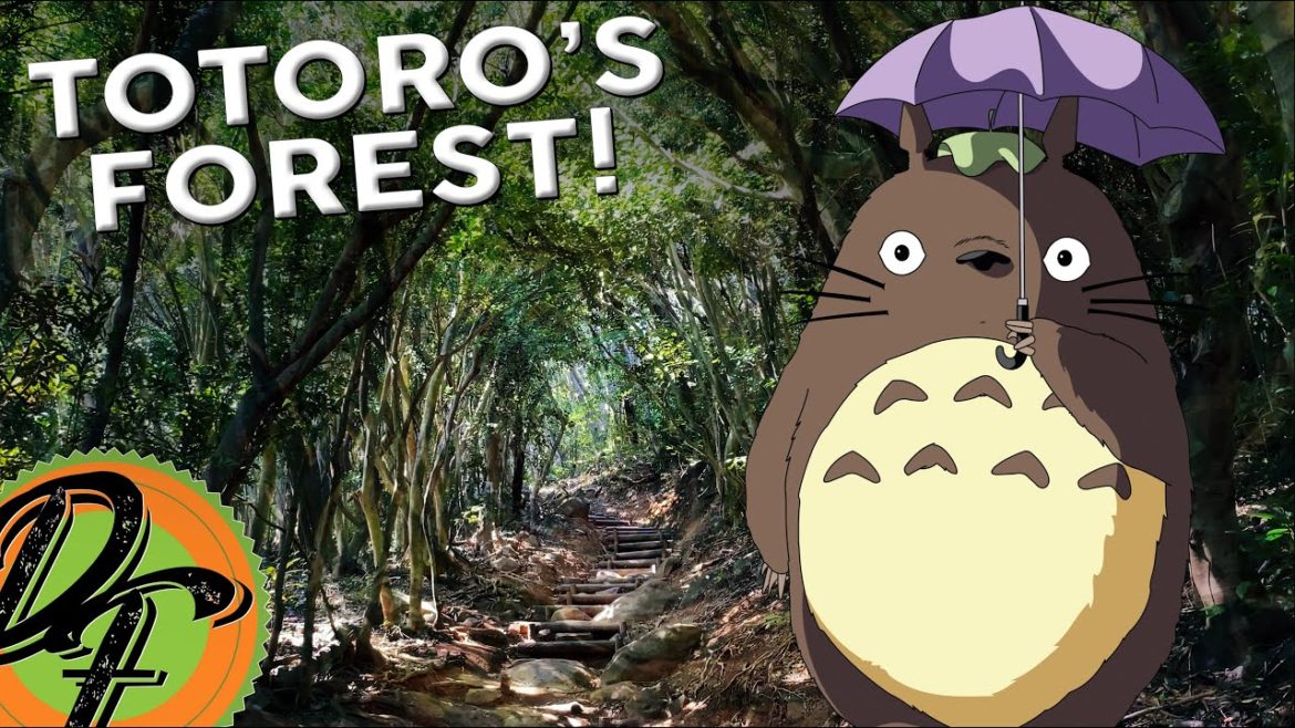 Totoro's Forest – In Itoshima, Fukuoka Japan! Totoro's Forest - In Itoshima, Fukuoka Japan!