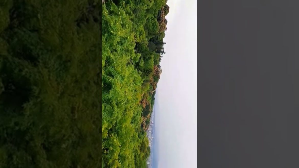 kiyomizu-dera summer in kyoto #japan #foryou #youtubeshorts