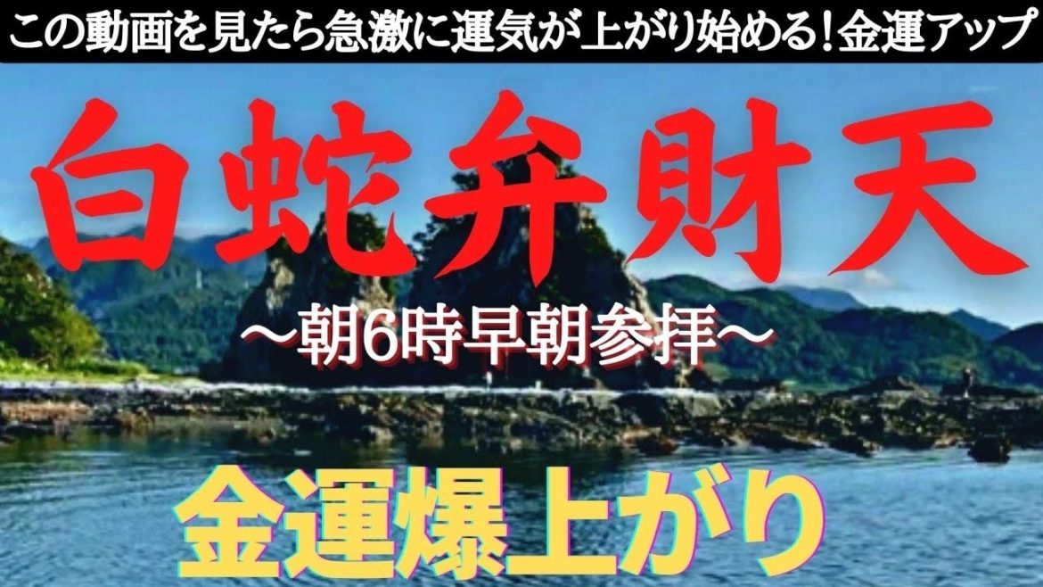 この動画が偶然現れたら金運爆上り【早朝参拝】龍神様も現れた！Wakayama, Japan