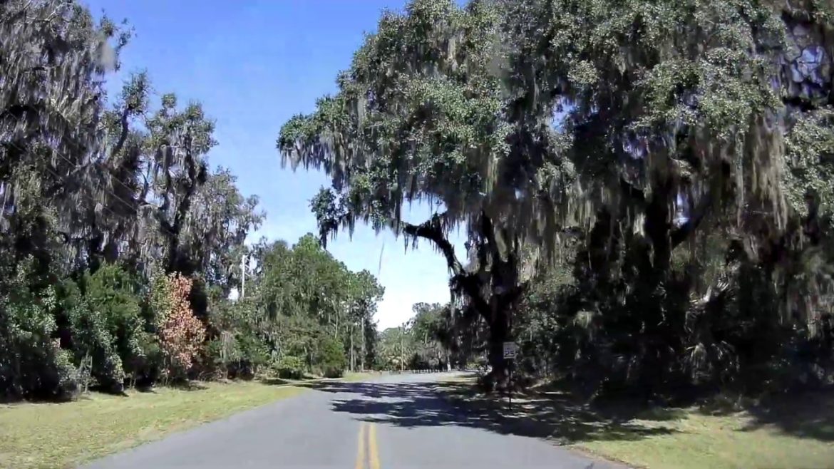 Driving Jekyll Island