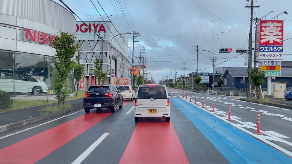 Relaxing Driving Tour on Wet Cloudy Afternoon | Aichi Japan