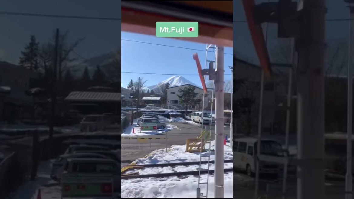 Ecstatic and surreal seeing Mt Fuji with our own eyes!A day trip from Tokyo