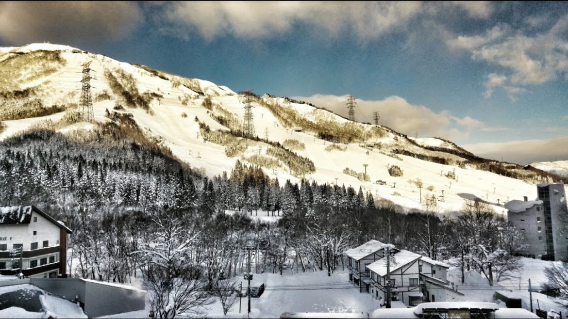 苗場滑雪+東京自由行 | TOKYO TOUR