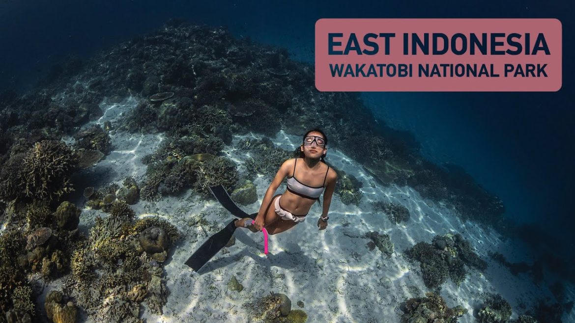 EAST INDONESIA - Wakatobi National Park