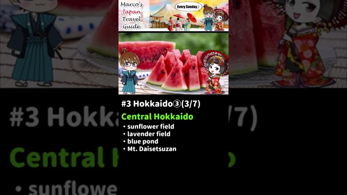 Amazing Hokkaido③ Central Hokkaido😍(3/7)#short