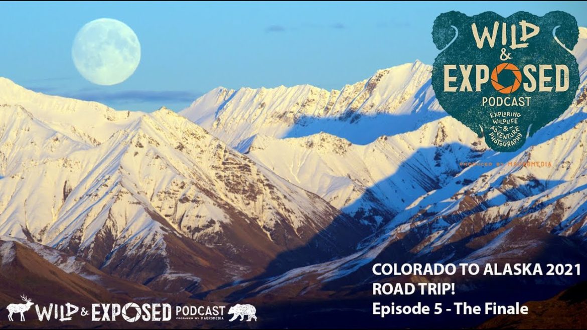 DRIVE TO ALASKA - ROAD TRIP 2021 - The Finale!