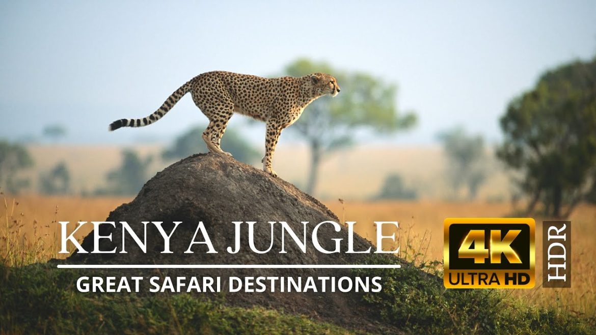 Travel Beauty of Kenya Jungle in 4K Ultra HD | Great Safari Destinations | Cinematic Virtual Tour