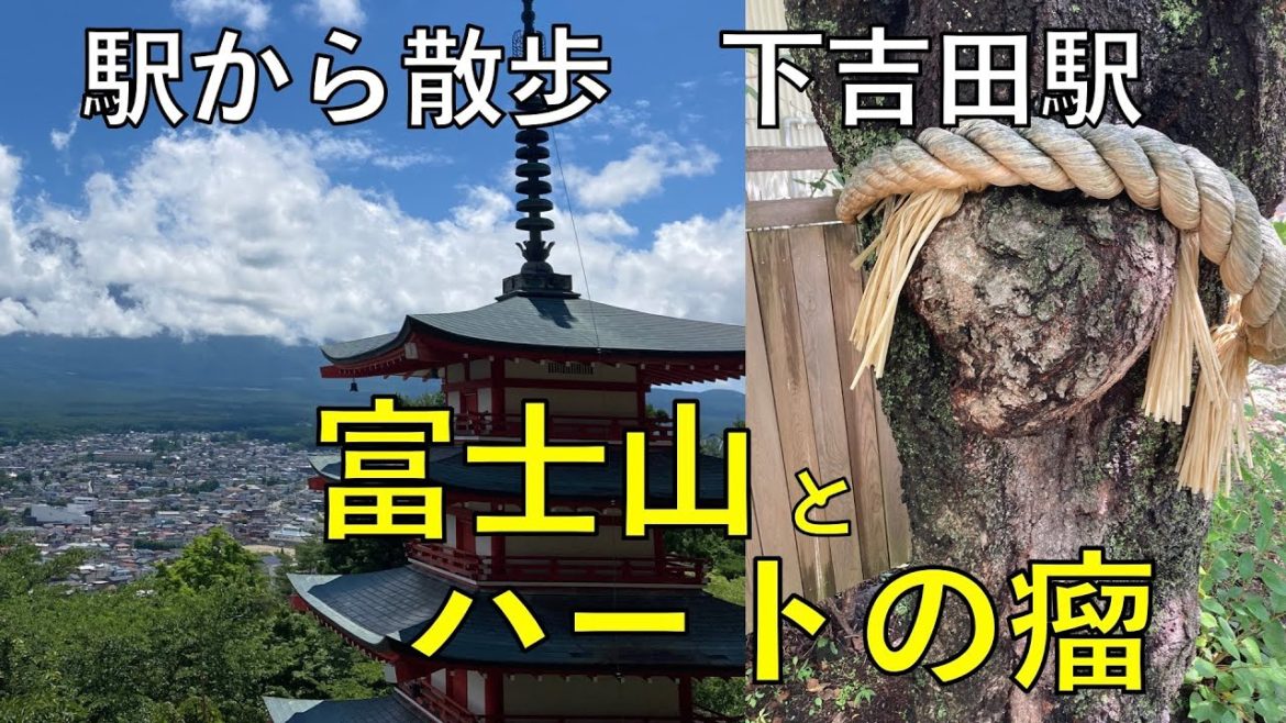 富士山とハートの瘤【下吉田駅・駅から散歩】 富士山とハートの瘤【下吉田駅・駅から散歩】