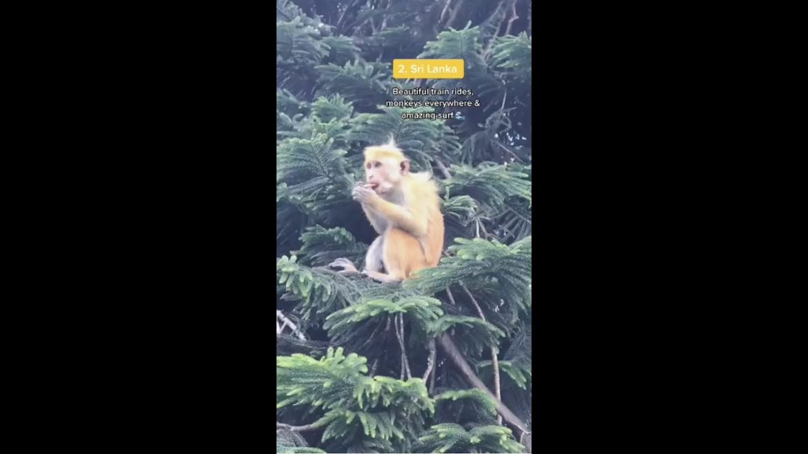 4 cheap countries in Asia you need to visit 😍✈️