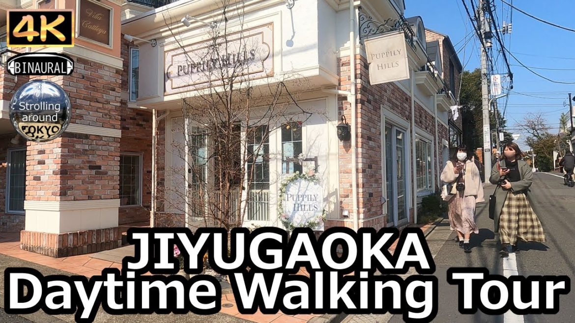 JIYUGAOKA Walking Tour - 4K Tokyo Japan