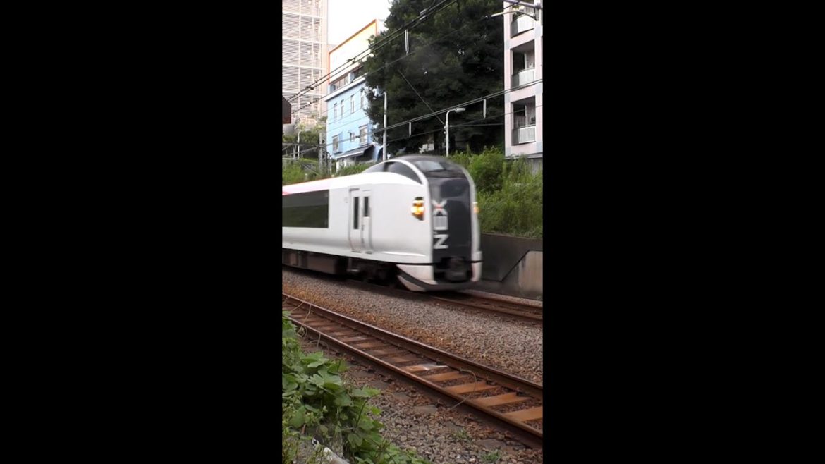 東京都品川区 湘南新宿ライン 埼京線 相鉄線直通電車 長者丸踏切を通過する JR E259系成田エクスプレス #shorts 東京都品川区 湘南新宿ライン 埼京線 相鉄線直通電車 長者丸踏切を通過する JR E259系成田エクスプレス #shorts