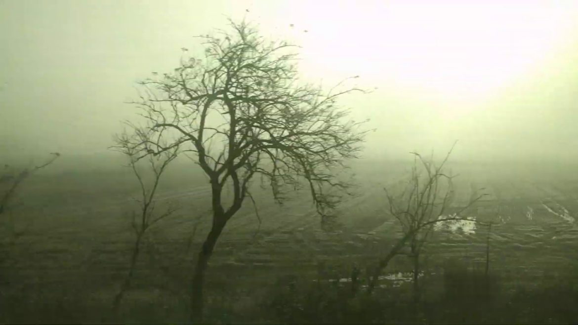 Relaxing Train Journey in the Italian Fog