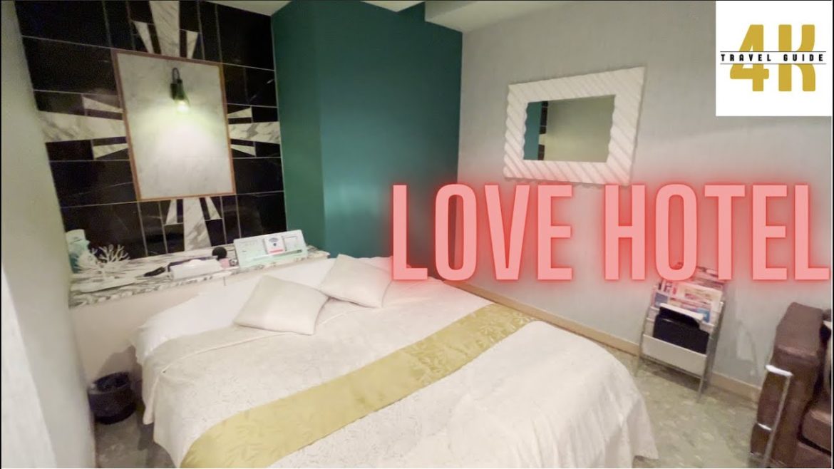 Love Hotel near Tokyo in 4K