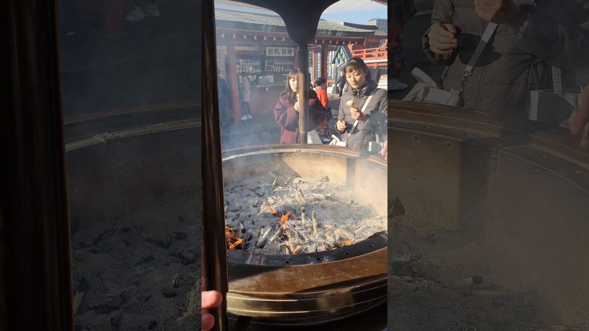 You have to see this places in tokyo , Trip To Japan, things to do in Japan 2020