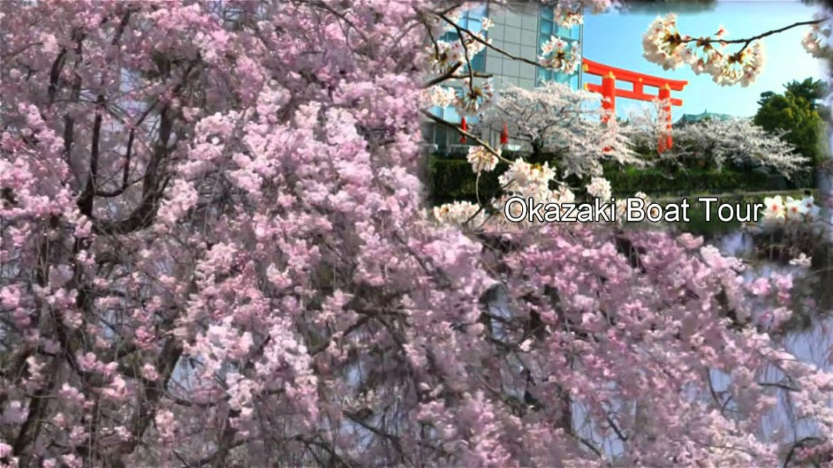 Japan Trip: Enjoying Spring along the Okazaki Canal, Kyoto 114